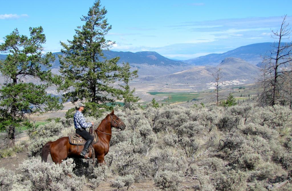 Ashcroft Sundance Guest Ranchヴィラ エクステリア 写真