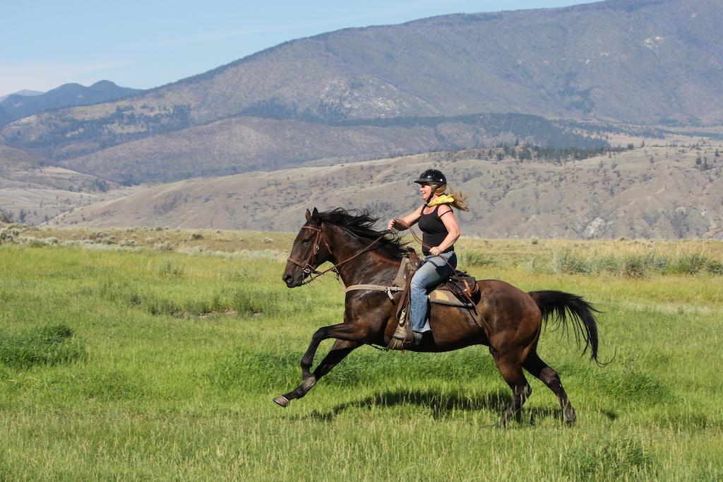 Ashcroft Sundance Guest Ranchヴィラ エクステリア 写真