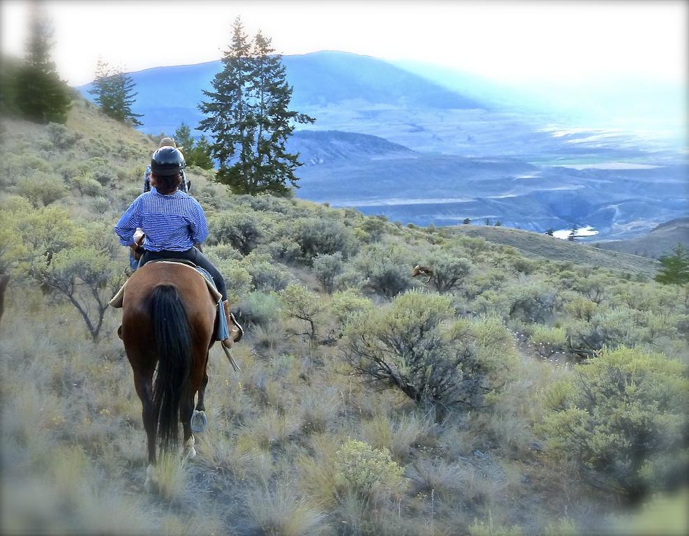 Ashcroft Sundance Guest Ranchヴィラ エクステリア 写真